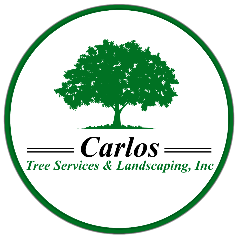 Carlos Tree Service & Landscaping Inc